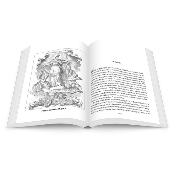 Święci w dziejach Narodu Polskiego - Feliks Koneczny