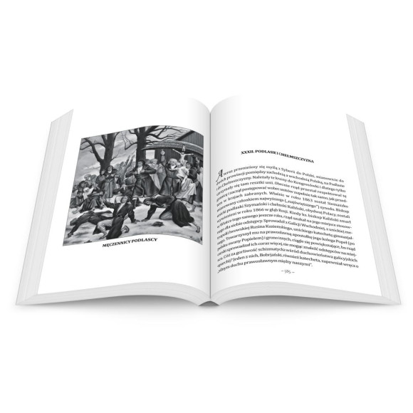 Święci w dziejach Narodu Polskiego - Feliks Koneczny