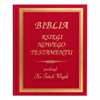 Biblia Nowy Testament Ks. Jakób Wujek ozdobione 200 rycinami reprint 1888 r.